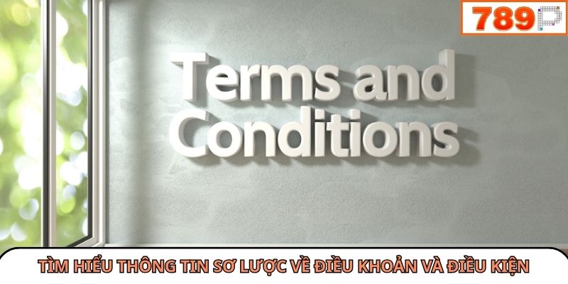 Tìm hiểu thông tin sơ lược về điều khoản và điều kiện